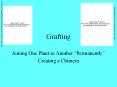 Grafting PowerPoint PPT Presentation