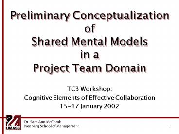 Preliminary Conceptualization of Shared Mental Models in a Project Team Domain