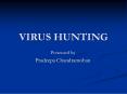 VIRUS HUNTING PowerPoint PPT Presentation