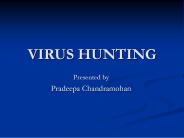 VIRUS HUNTING