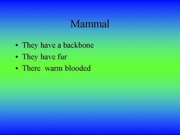 Mammal