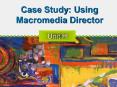 Case Study: Using Macromedia Director PowerPoint PPT Presentation
