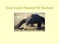 Giant Lizard Attacked My Husband PowerPoint PPT Presentation