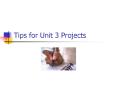 Tips for Unit 3 Projects PowerPoint PPT Presentation