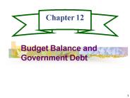 Budget Balance and Government Debt