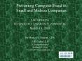 Preventing Computer Fraud in Small and Midsize Companies PowerPoint PPT Presentation