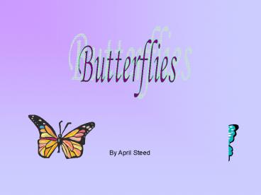 Butterflies