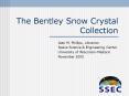 The Bentley Snow Crystal Collection PowerPoint PPT Presentation