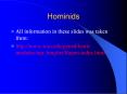 Hominids PowerPoint PPT Presentation