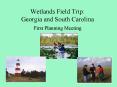 Wetlands Field Trip: Georgia and South Carolina PowerPoint PPT Presentation