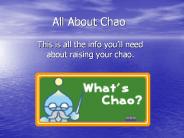 All About Chao