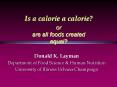 Metabolic and Clinical Aspects of Weight Management FSHN 420 PowerPoint PPT Presentation