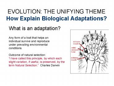 EVOLUTION: THE UNIFYING THEME How Explain Biological Adaptations