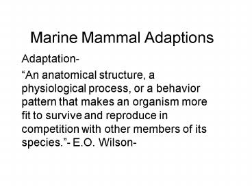 Marine Mammal Adaptions