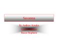 Savanna PowerPoint PPT Presentation