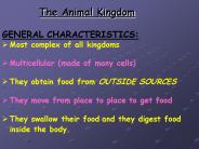 The Animal Kingdom