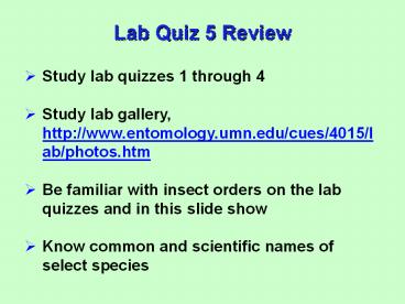 ... Wings with fringe; short antennae with many segments