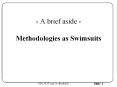 A brief aside Methodologies as Swimsuits PowerPoint PPT Presentation