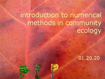 introduction to numerical methods in community ecology