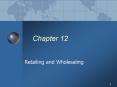 Retailing and Wholesaling PowerPoint PPT Presentation