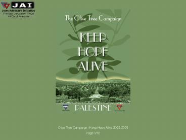 Olive Tree Campaign Keep Hope Alive 20022005