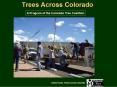 URH155 ARBORICULTURE PowerPoint PPT Presentation