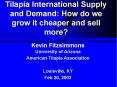 Tilapia International Supply and Demand: How do we grow it cheaper and sell more? PowerPoint PPT Presentation