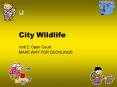 City Wildlife PowerPoint PPT Presentation