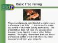 Basic Tree Felling PowerPoint PPT Presentation