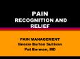 PAIN RECOGNITION AND RELIEF PowerPoint PPT Presentation
