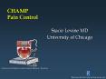 CHAMP Pain Control PowerPoint PPT Presentation