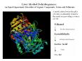 Liver Alcohol Dehydrogenase: PowerPoint PPT Presentation