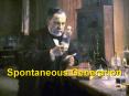 Spontaneous Generation PowerPoint PPT Presentation