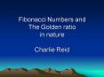 Fibonacci Numbers and The Golden ratio in nature Charlie Reid PowerPoint PPT Presentation