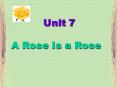 A Rose Is a Rose PowerPoint PPT Presentation
