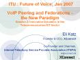 VoIP%20Peering%20and%20Federations%20-%20the%20New%20Paradigm%20Session%202:%20Innovation%20Dynamics%20in%20the%20Telecommunication/ICT%20Sector PowerPoint PPT Presentation