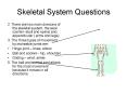 Skeletal System Questions PowerPoint PPT Presentation