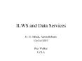 ILWS and Data Services PowerPoint PPT Presentation