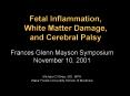 Fetal Inflammation, White Matter Damage, and Cerebral Palsy PowerPoint PPT Presentation