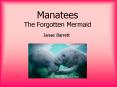 Manatees The Forgotten Mermaid PowerPoint PPT Presentation