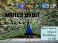 WHITES EFFECT PowerPoint PPT Presentation