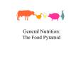 General Nutrition: The Food Pyramid PowerPoint PPT Presentation