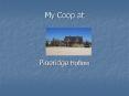 My Coop at PowerPoint PPT Presentation
