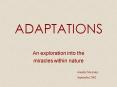 ADAPTATIONS PowerPoint PPT Presentation