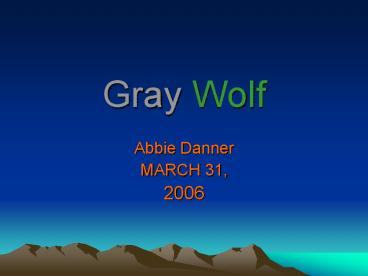 Gray Wolf