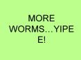 MORE WORMSYIPEE PowerPoint PPT Presentation