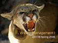 Wildlife Management I PowerPoint PPT Presentation