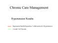 Chronic Care Management PowerPoint PPT Presentation