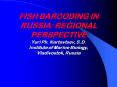 FISH BARCODING IN RUSSIA: REGIONAL PERSPECTIVE Yuri Ph. Kartavtsev, S.D. Institute of Marine Biology PowerPoint PPT Presentation
