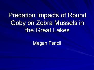 Predation Impacts of Round Goby on Zebra Mussels in the Great Lakes